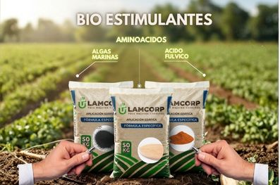Bio